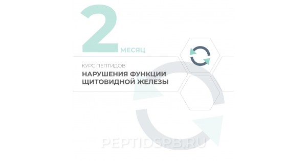 Второй месяц курса пептидов Хавинсона при нарушениях функций щитовидной железы